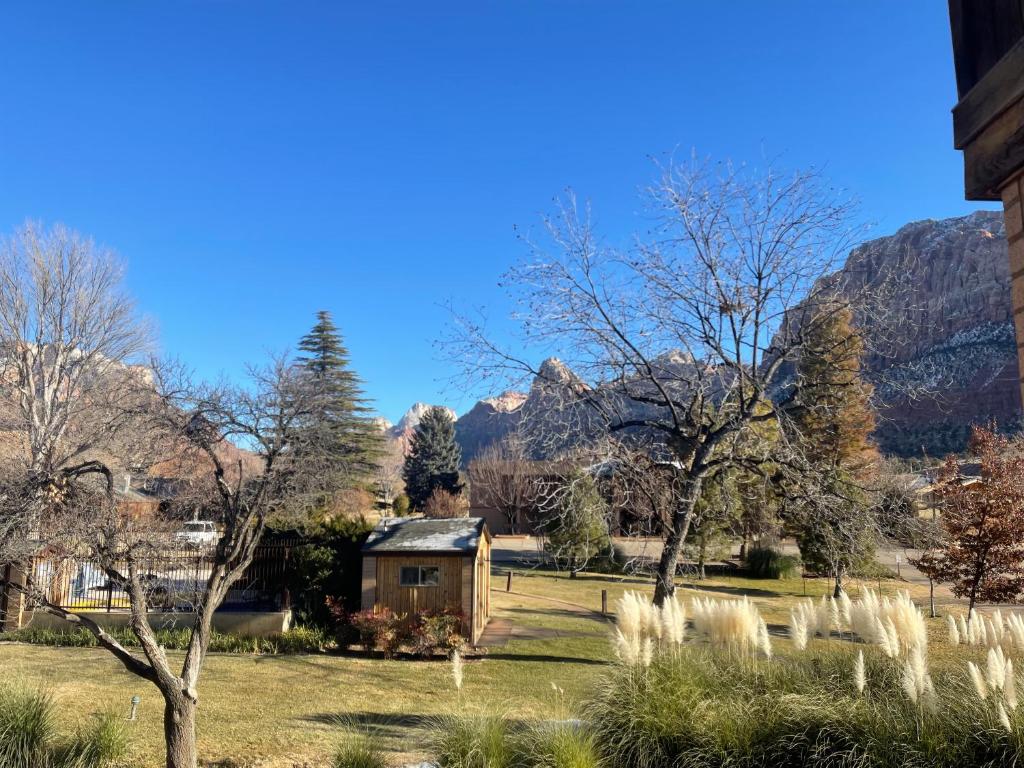 View of the hotel backyard of trees and the canyons